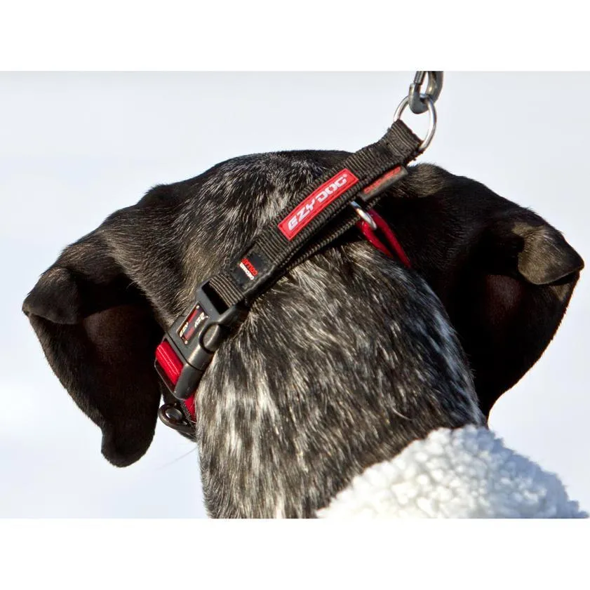 EzyDog Checkmate Dog Collar Black Small***